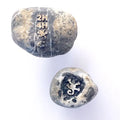 Rocknob Timpanogos Lizard With T-Case Shift Knob