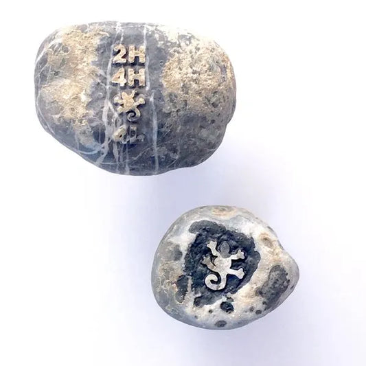 Rocknob Timpanogos Lizard With T-Case Shift Knob