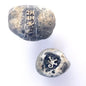 Rocknob Timpanogos Lizard With T-Case Shift Knob