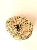 Rocknob Granite Lizard Gear Shift Knob